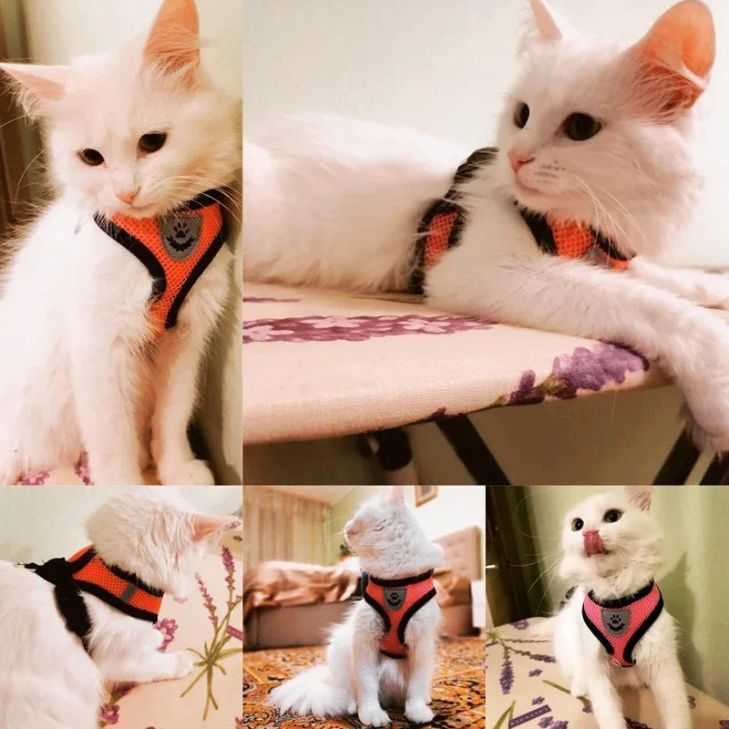 Cat & Dog Harness Vest – Adjustable Mesh Leash Collar for Small to Medium Pets