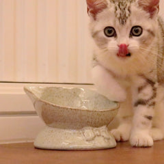 CeramiTilt