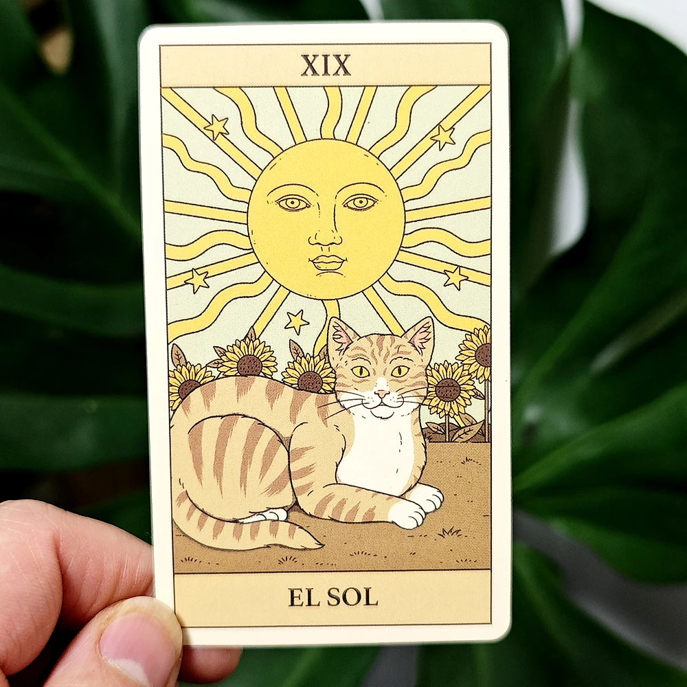 10.3*6cm Cats Rule The Earth Tarot 78-Card Deck for The Feline-Obsessed Spanish Edition