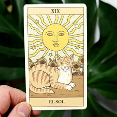10.3*6cm Cats Rule The Earth Tarot 78-Card Deck for The Feline-Obsessed Spanish Edition