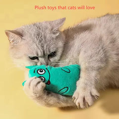 PawPlay Plush